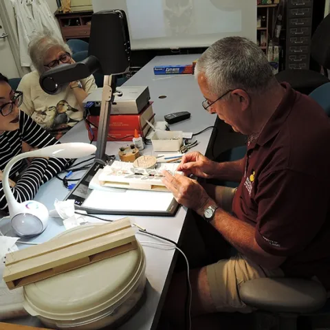 Entomologist Jeff Smith, who curates the butterfly/moth collection at the Bohart Museum, enjoys sharing knowledge about insects. (Photo by Kathy Keatley Garvey)
