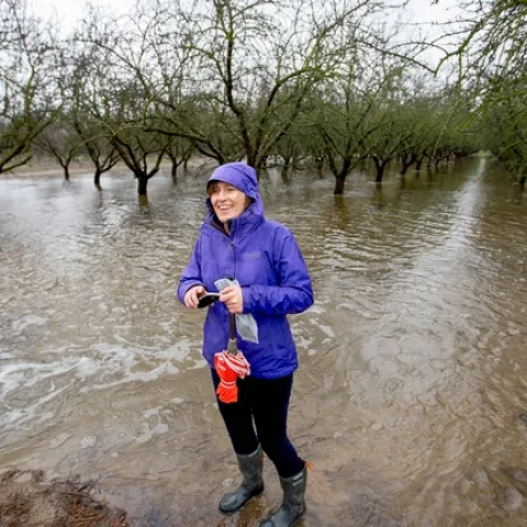 Integrated hydrologic science professor Helen Dahlke in an almond orchard being flooded for groundwater recharge.