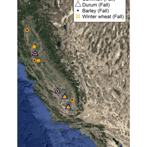Fall-planted sites 2017-18
