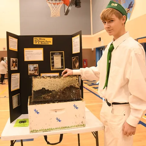 Ian Weber of the Vaca Valley 4-H Club, a second-year beekeeper, displays his project at the Solano County 4-H Project Skills Day. He won a showmanship award. (Photo by Kathy Keatley Garvey)