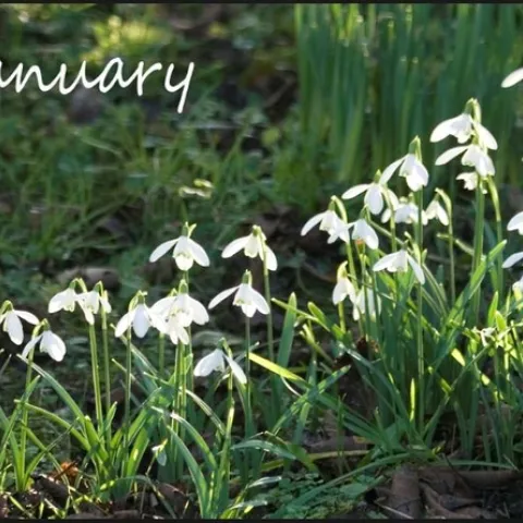 photo from http://sophieossex.blogspot.com/