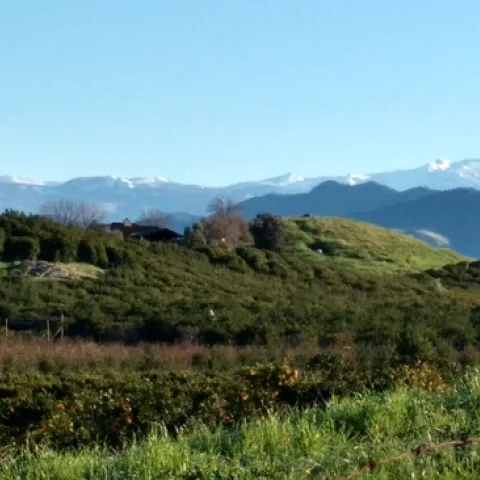 Lindcove REC Feb 2017