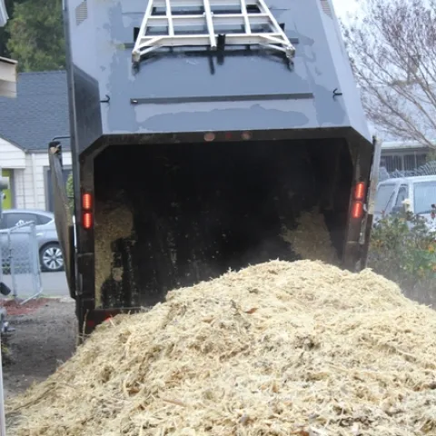 photos by Brenda Altman