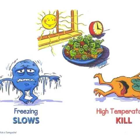 Zona de peligro: La bacteria crece rápidamente entre los 40 y 140 grados.