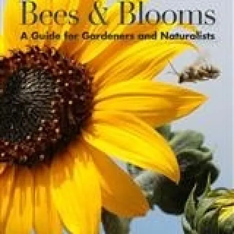 bees and blooms frankie