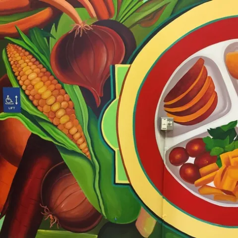 A mural designed to inspire kids to choose more fruits and vegetables will be unveiled at Burbank Preschool Feb. 23, 2018.