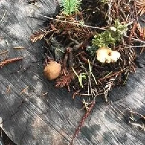 photos by Betty Homer