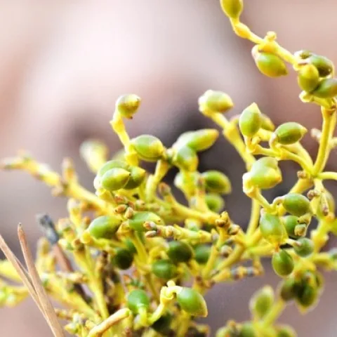 Thompson-Rivers-University-shared-via-Flickr-Creative-Commons3-768x466