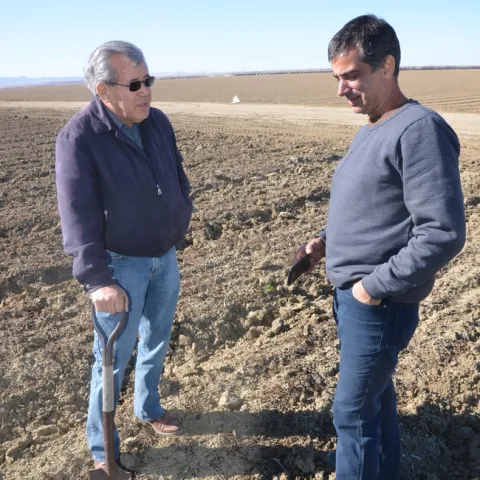 Jesse Sanchez and Roberto Botelho (left and right) examine soil at Sano Farms cover crop fields in Firebaugh, CA, February 23, 2018