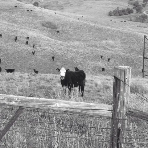 February 2015 at SFREC - a dry start to the year.