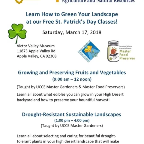 MG apple valley flyer march 17 2018