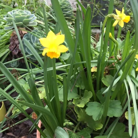 photos by Martha White