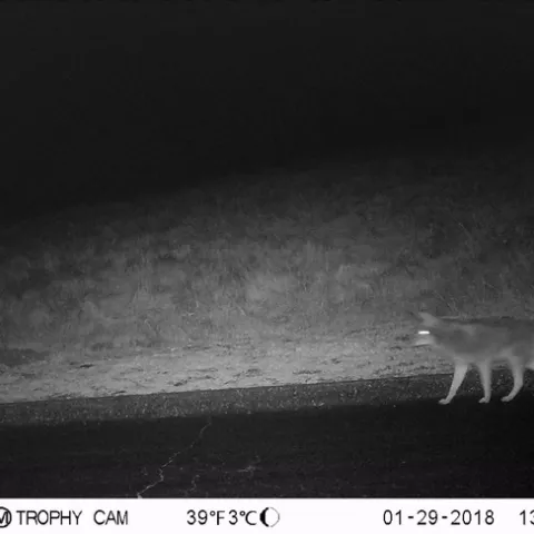 27500193 1789995837679980 7994479345356515213 o