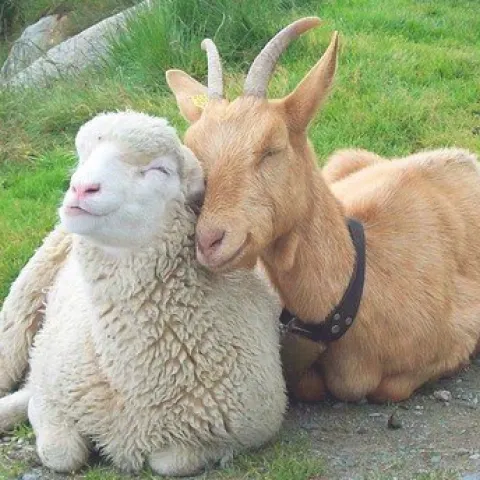 tumblr inline mrpfzcdJnD1r3bfh0