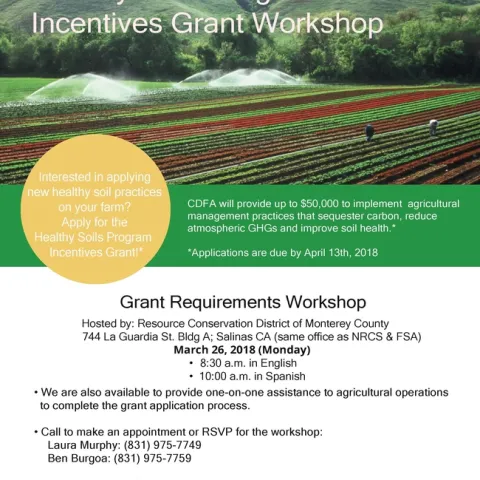 HSI Flier English (002)