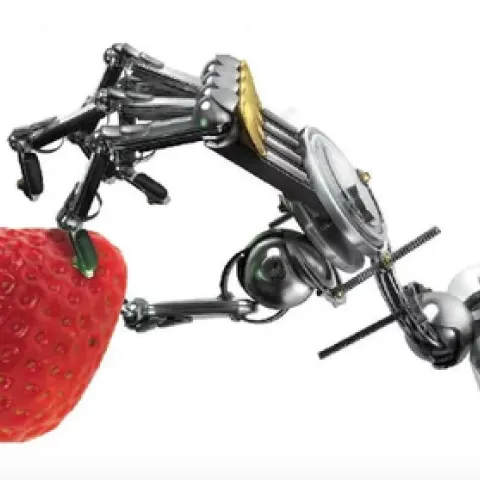 Dream on. Photo Growing Produce.