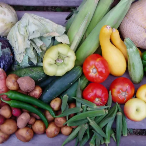 Vegetables Getty Free Paul Grant