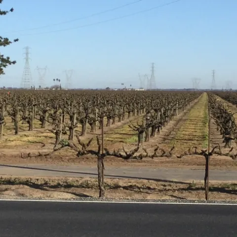 photos by Michelle Davis