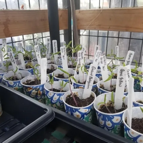 photos by Deb Gordon