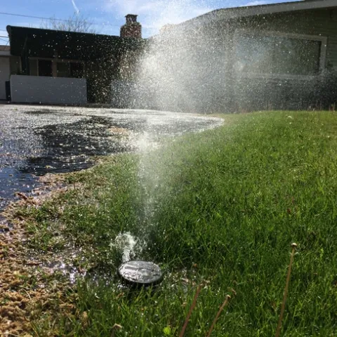 A sprinkler spraying a driveway with water.
