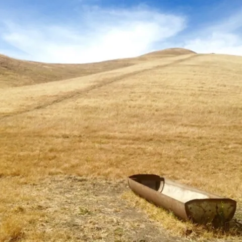 Extreme events like drought are expected to occur more frequently with climate change. Photo by Faith Kearns.