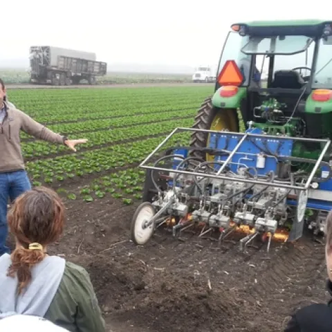 Robovator directed by little computers that scan lettuce rows cuts weeds. Photo taken by Petr Kosina during 2016 specialty crops tour.
