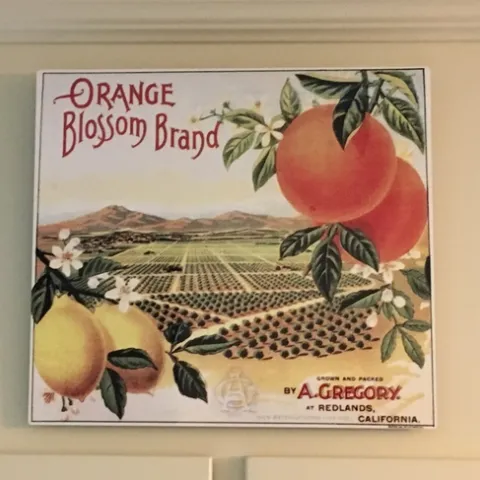 photo by Michelle Davis