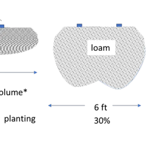 Figure 1. Hypothetical wetted volume of different soil types under a double line drip system. The estimated wetting volume would be for a 16 x 20 ft spacing, 1 gph emitters after a 12- hour set.