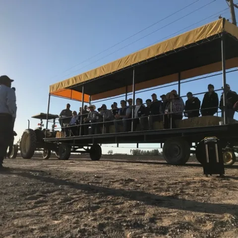 Imperial Field Day 2018