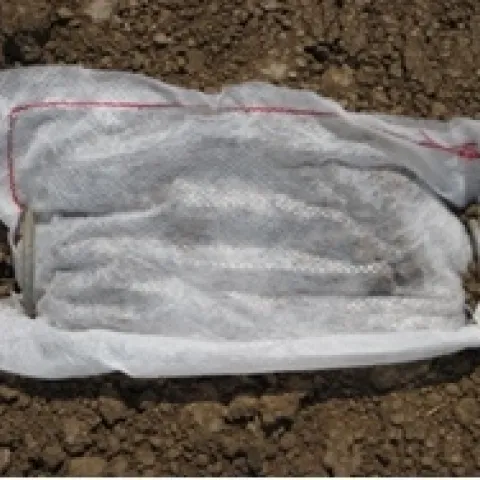 Organic fertilizer pouch on soil surface