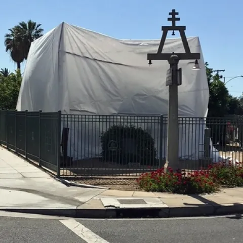 The Riverside 'Parent Navel' orange tree is covered with a large white tent to protect it from Asian citrus psyllid, an invasive pest that can spread the devastating huanglongbing disease of citrus. (Photo: City of Riverside)