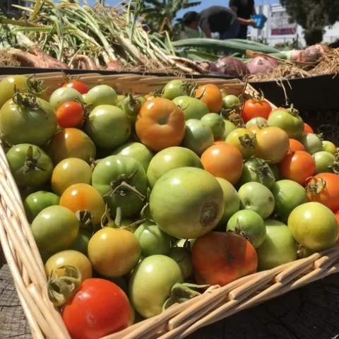 Reunion de miembros de la Iniciativa Alimentaria Global del 2018.