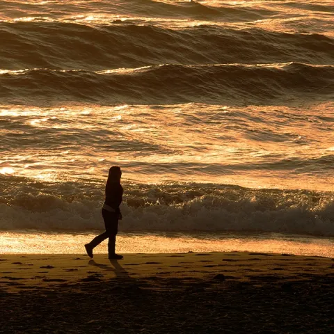 Statistics indicate physicians diagnose 60,000 new cases of Parkinson's disease every year in the United States. The average age of onset is 60. (Photo by Kathy Keatley Garvey)