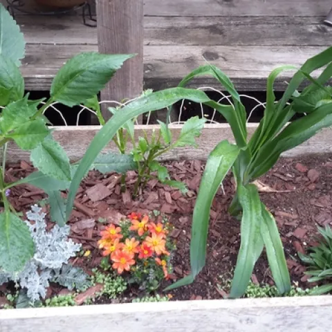 photos by Betty Victor