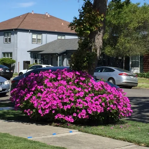 photo by Martha White