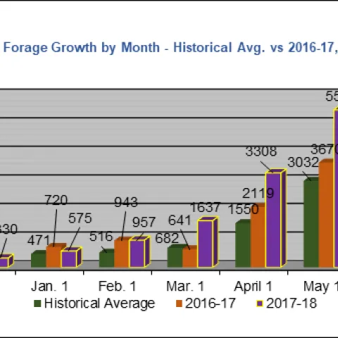 This year's forage production information as compared to our average.