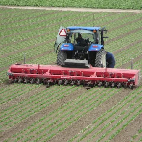 Steketee IC cultivating three 80-inch wide beds