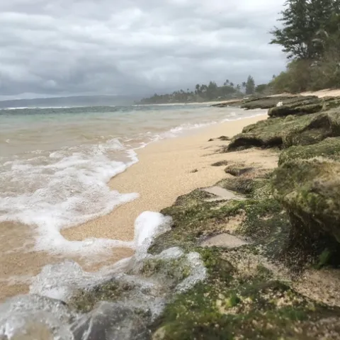 Mark's happy place (Honolulu, Hawaii)