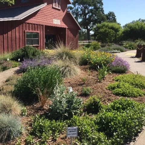 Butte All-Star Garden, L. Kling