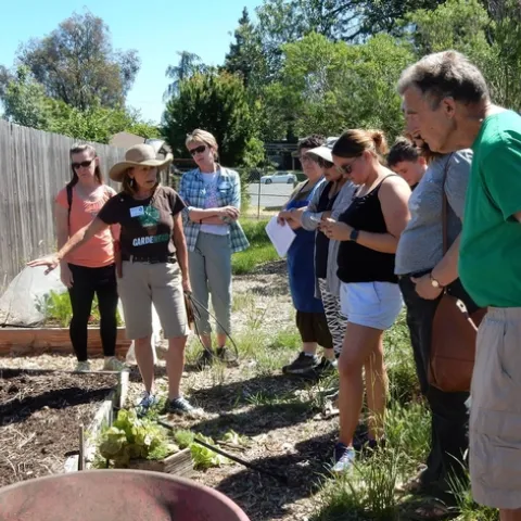 Food Gardening Specialist workshop at the Harvest for the Hungry Garden on May 12, 2018. Tobi Brown, UC Master Gardener, demonstrates how to feed and protect the soil as a garden bed transitions from spring to summer.