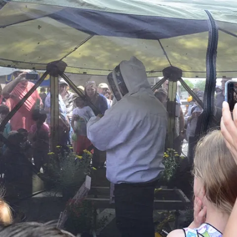 Large crowds gathered around Extension apiculturist Elina Lastro Niño as she opened a bee hive at the California Honey Festival and talked about bees. (Photo by Kathy Keatley Garvey)