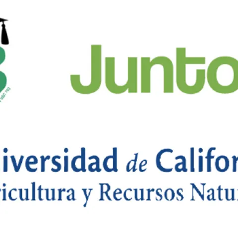 juntos logo