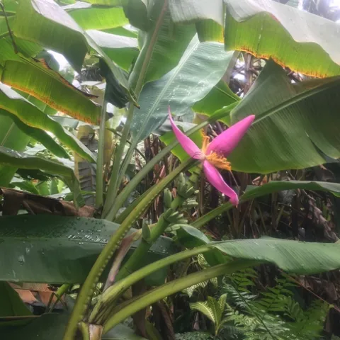 photso by Melissa Sandoval