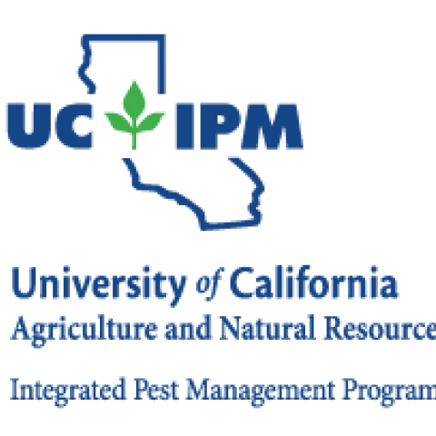 Find out all about Tree Squirrels here: UC IPM logo: http://ipm.ucanr.edu/PMG/PESTNOTES/pn74122.html