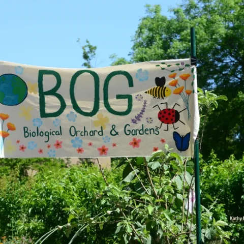The Biological Orchard and Gardens (BOG) sign features floral and insect designs. It's located by the Mann Laboratory, UC Davis campus. (Photo by Kathy Keatley Garvey)