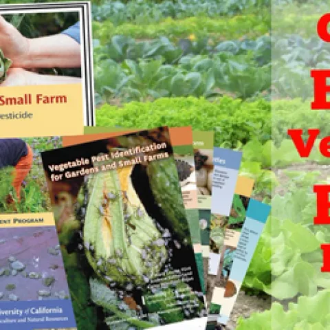 Photo of Pests of the garden and small farm book and Vegetable pest identification cards.