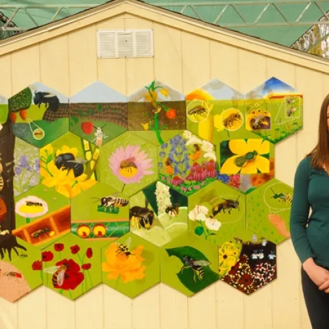 Sarah Dalrymple, then a doctoral candidate at UC Davis, coordinated the bee mural in the Häagen-Dazs Honey Bee Haven. (Photo by Kathy Keatley Garvey)