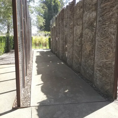 Eucalyptus panels. (photos by Betty Victor)