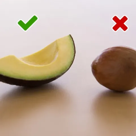 avocado-seed-2-yes-no