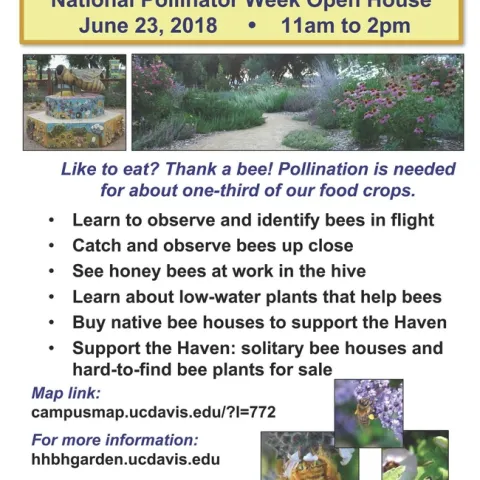 Häagen-Dazs Honey Bee Haven at UC Davis is hosting a plant sale and open house.
